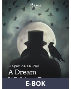 A Dream Within a Dream, E-bok
