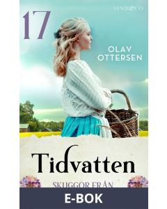 Tidvatten-17-Skuggor från det förflutna, E-bok