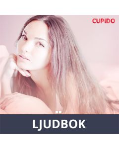 Vaktma¨staren - erotiska noveller, Ljudbok