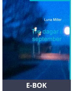 Tre dagar i september, E-bok